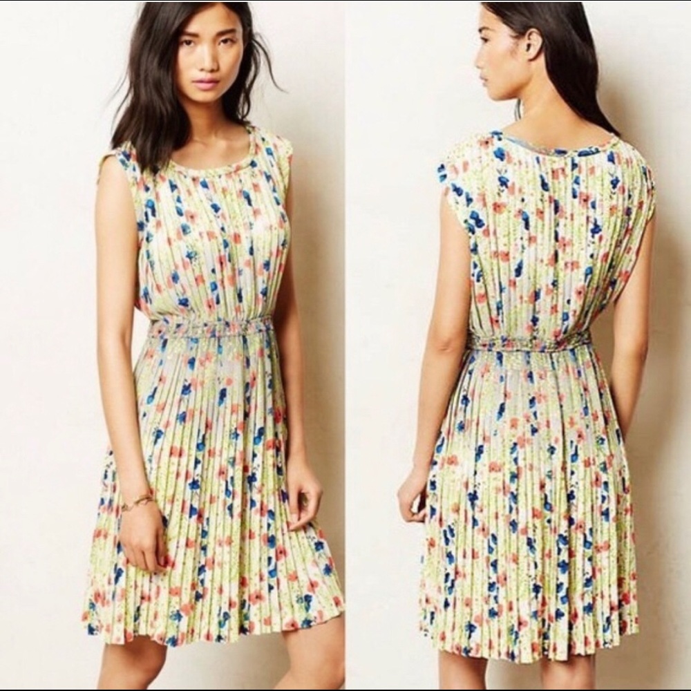 Anthropologie Baraschi Meadowlight Pleated Dress